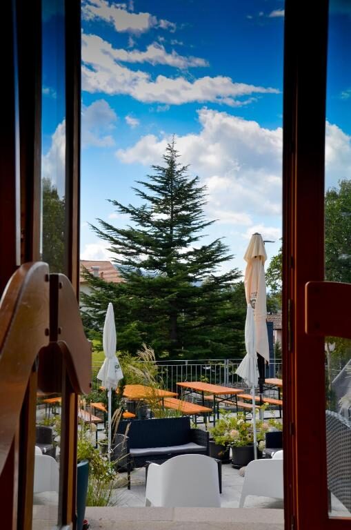 View from the hotel towards the garden terrace and the mountains
