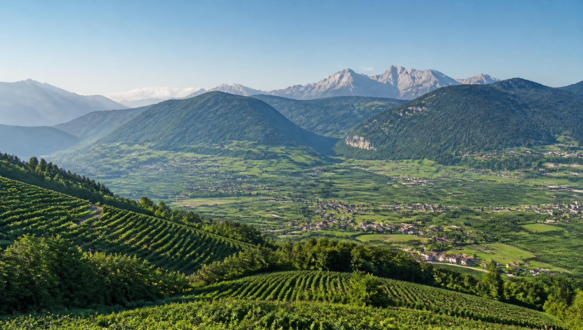 Terrace view over the Val di Non from Hotel Villa Argentina Ronzone